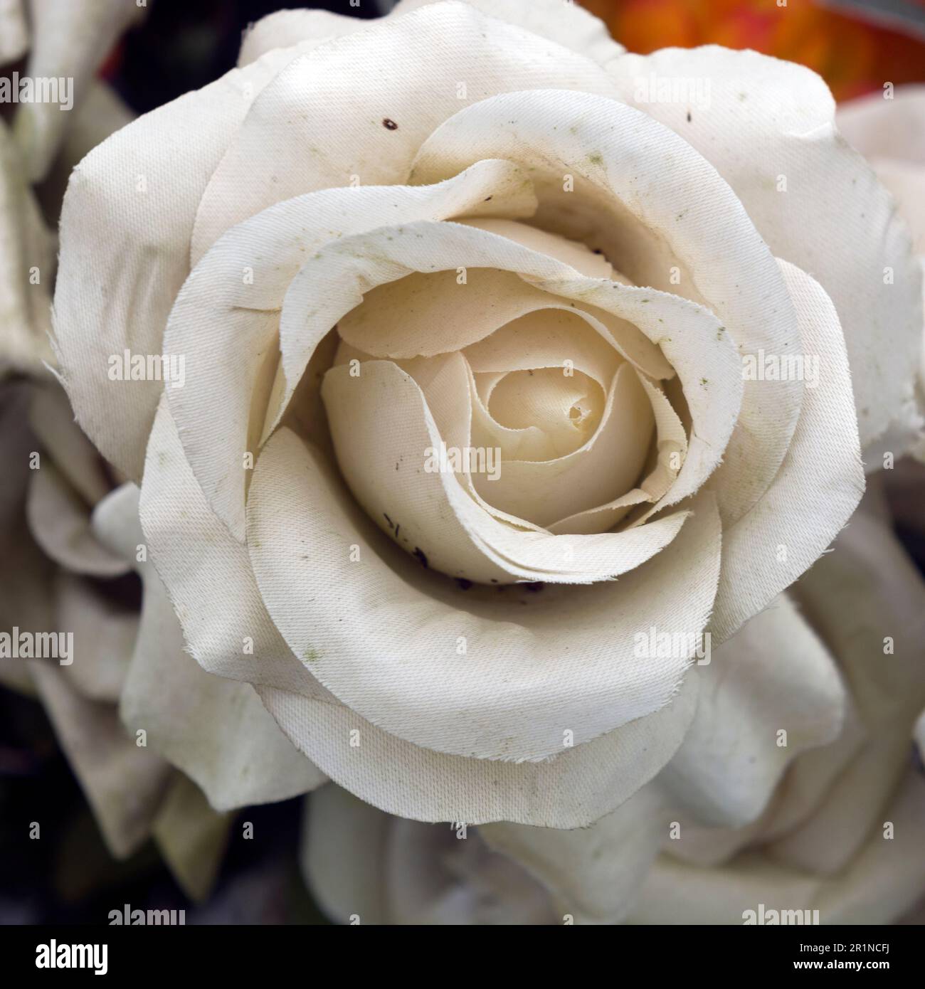 A faded artificial flower on a grave. Stock Photo
