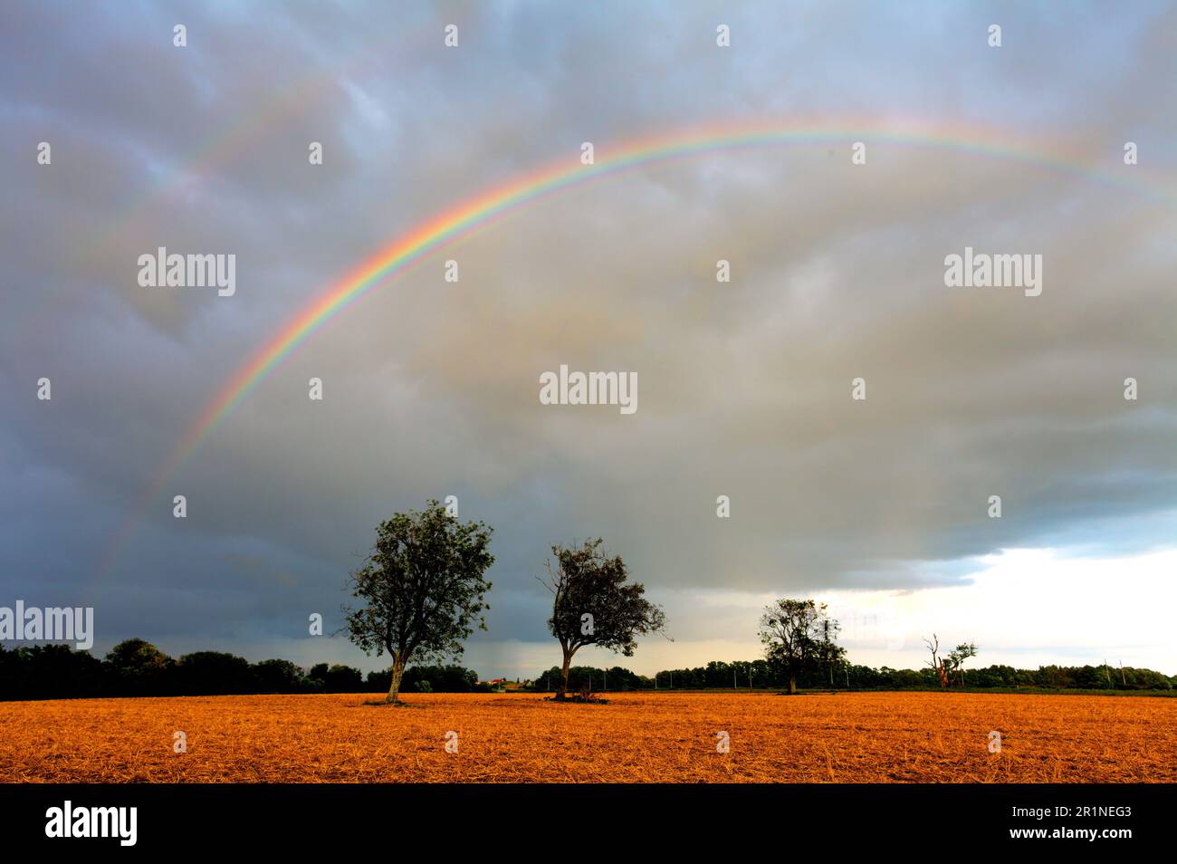 Rainbow over field Stock Photo