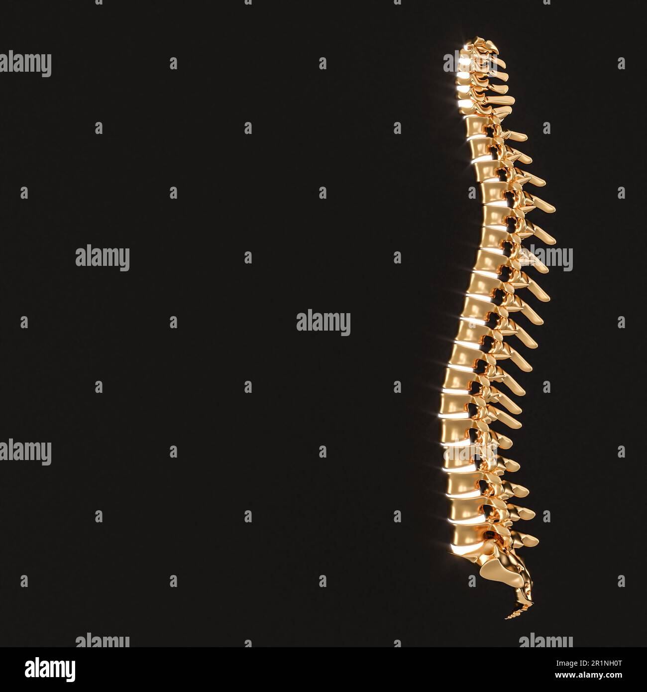 gold spine with luminous discs on a black background. 3d render Stock Photo