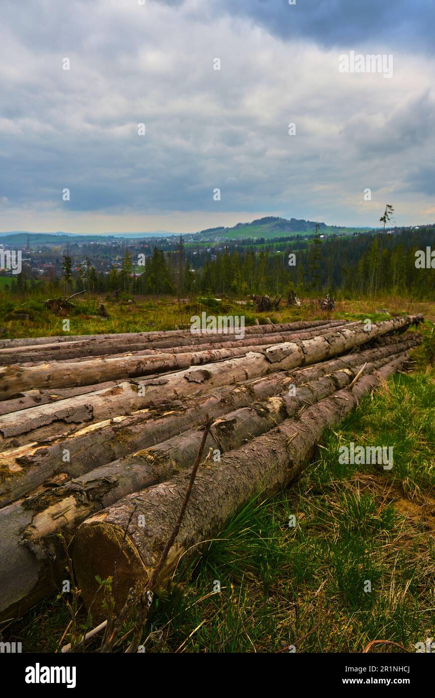 A pile of stacked wood in witow, near Zakopane, Poland Stock Photo - Alamy