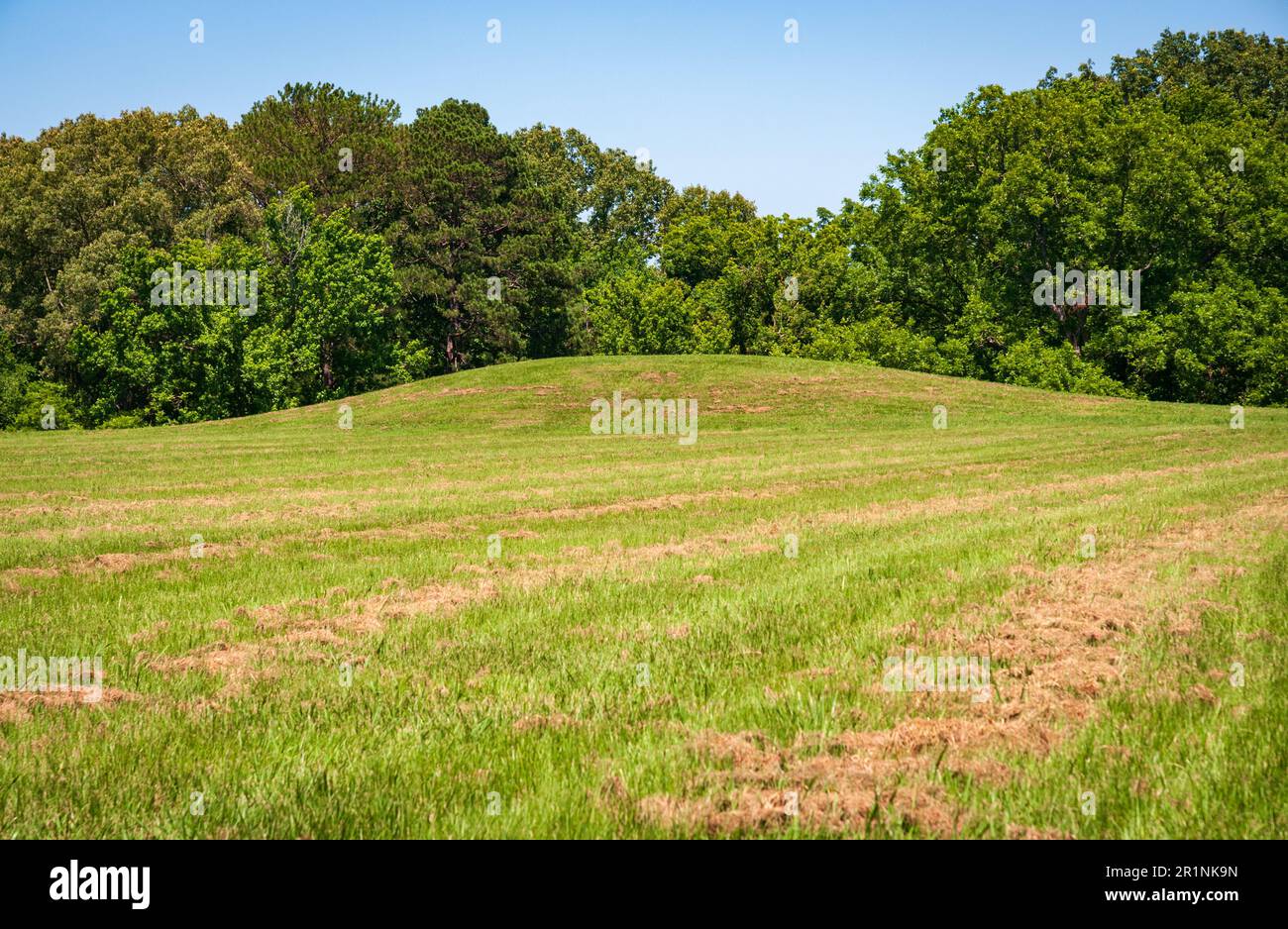 Emerald Mound/Selsertown site in Mississippi Stock Photo Alamy