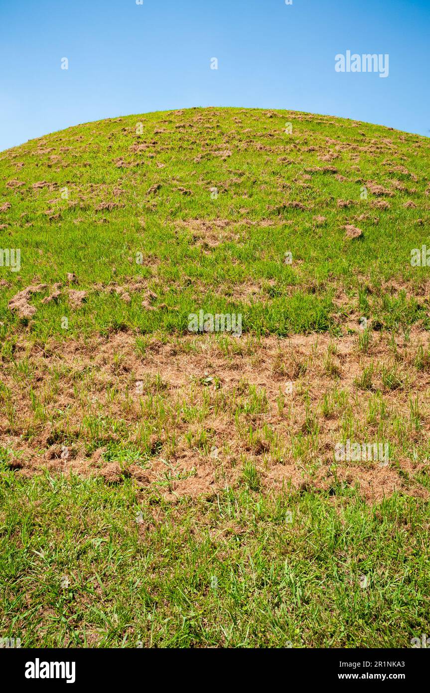 Emerald Mound/Selsertown site in Mississippi Stock Photo Alamy