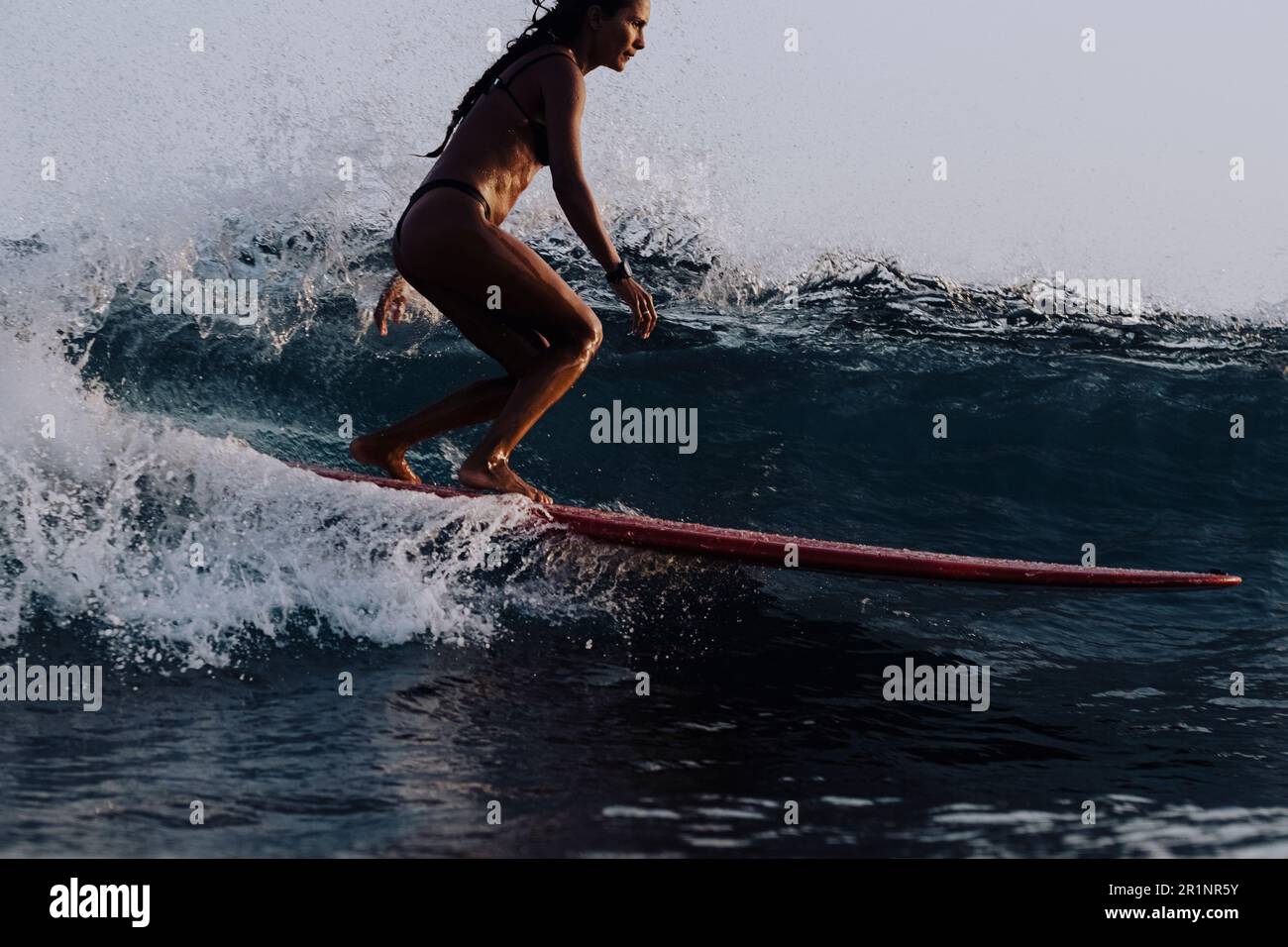 Full length of female surfer on longboard Stock Photo Alamy
