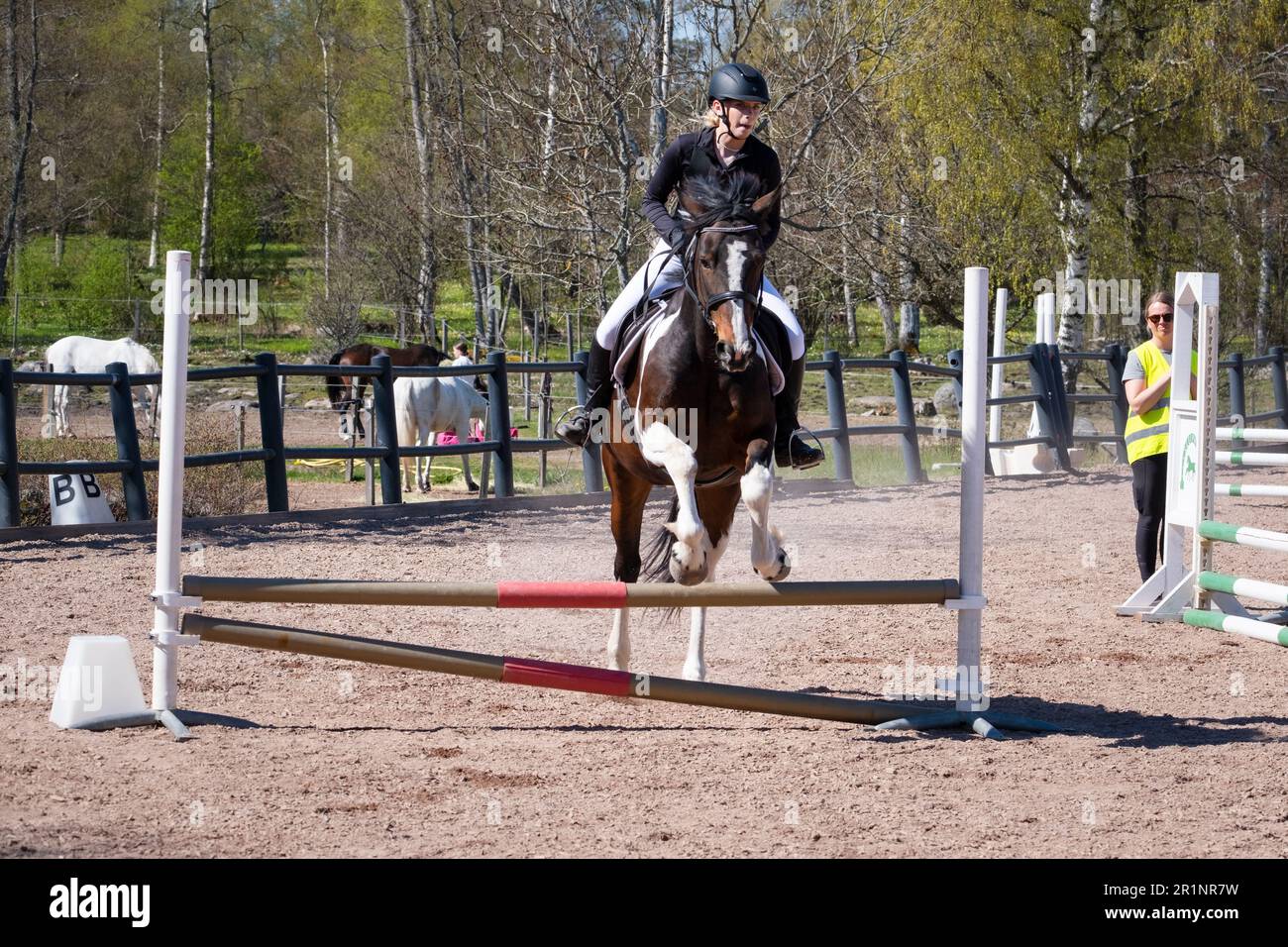 Sleipner horse hi-res stock photography and images - Alamy