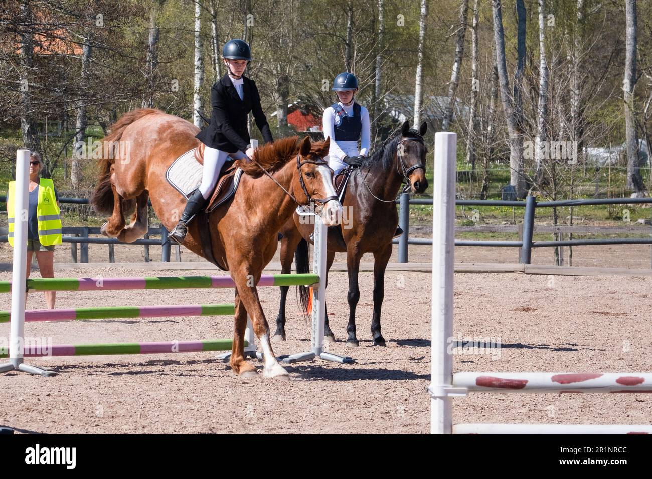 Sleipner horse hi-res stock photography and images - Alamy