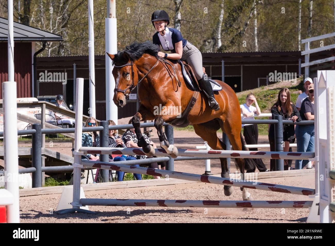Sleipner horse hi-res stock photography and images - Alamy