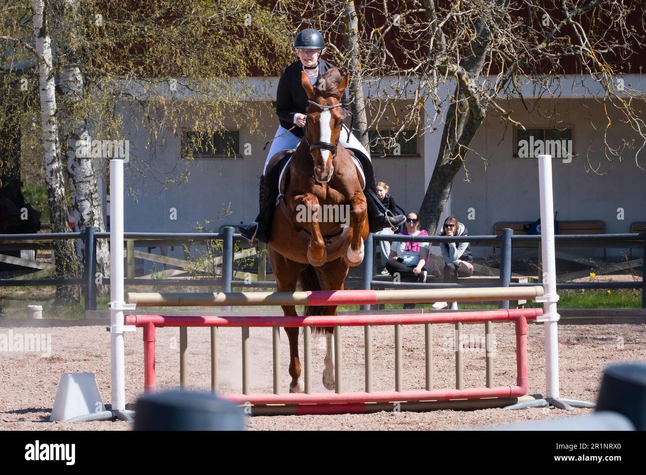 Sleipner horse hi-res stock photography and images - Alamy