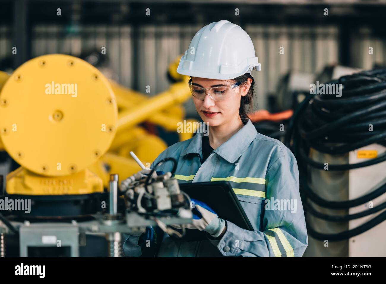 Software to test to manufacture hi-res stock photography and images - Alamy