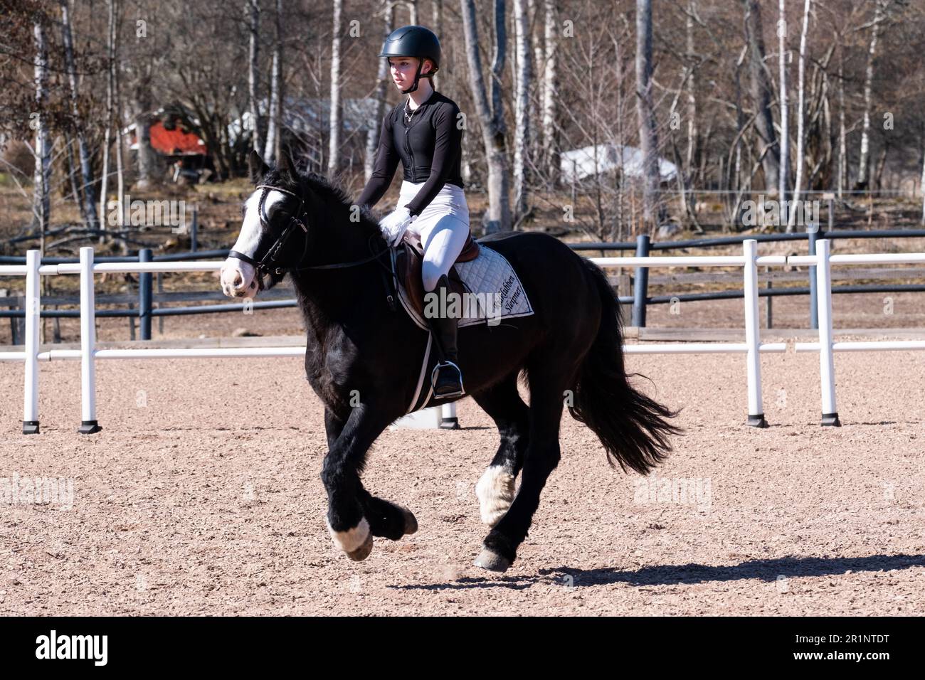 DRESSAGE, YOUTH, PONY: Youth Invitational Dressage Event on a pony in the Åland Islands, Finland. April 2023. Stock Photo