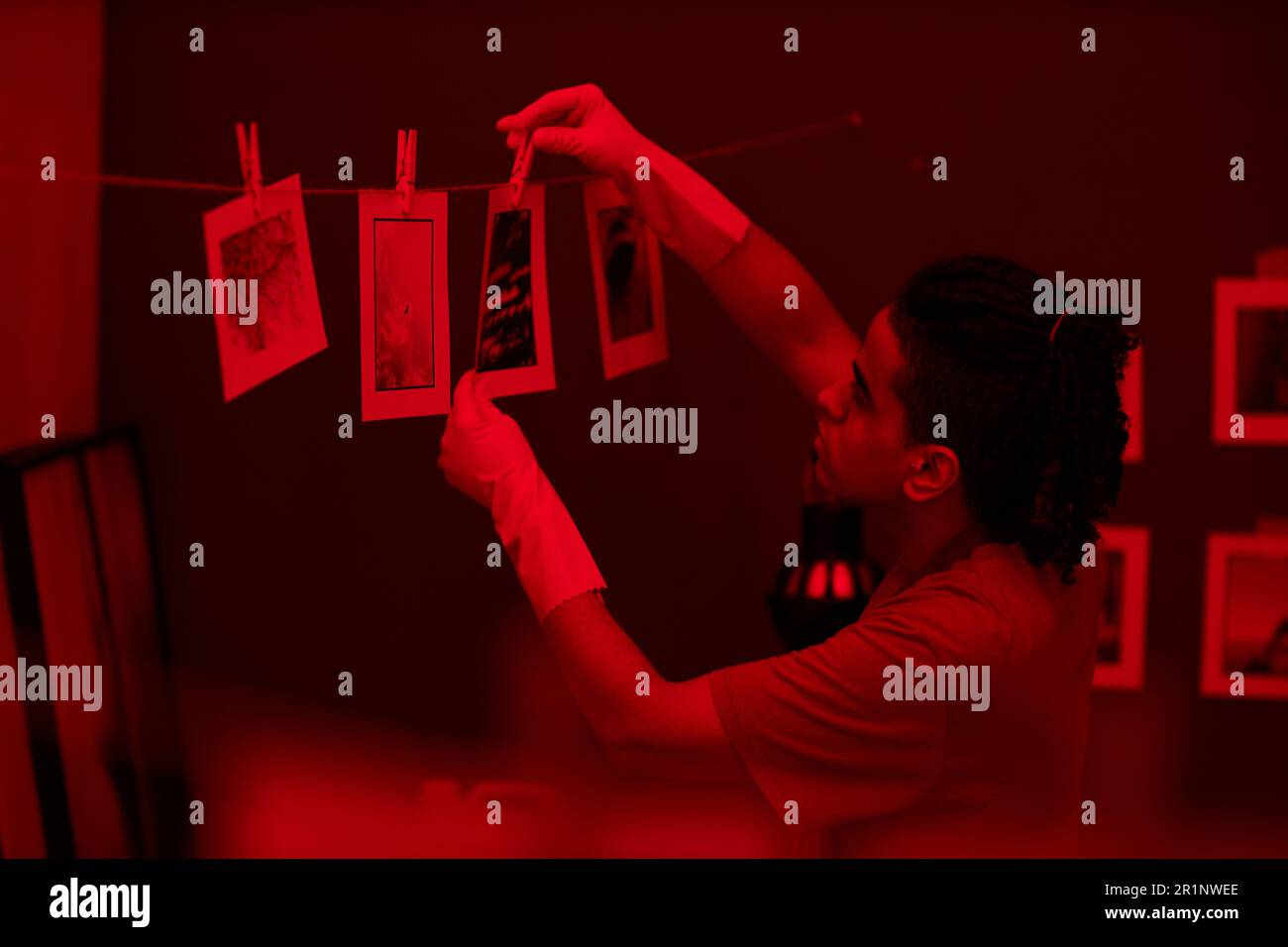 Young photographer hanging colored printed photos in darkroom with red