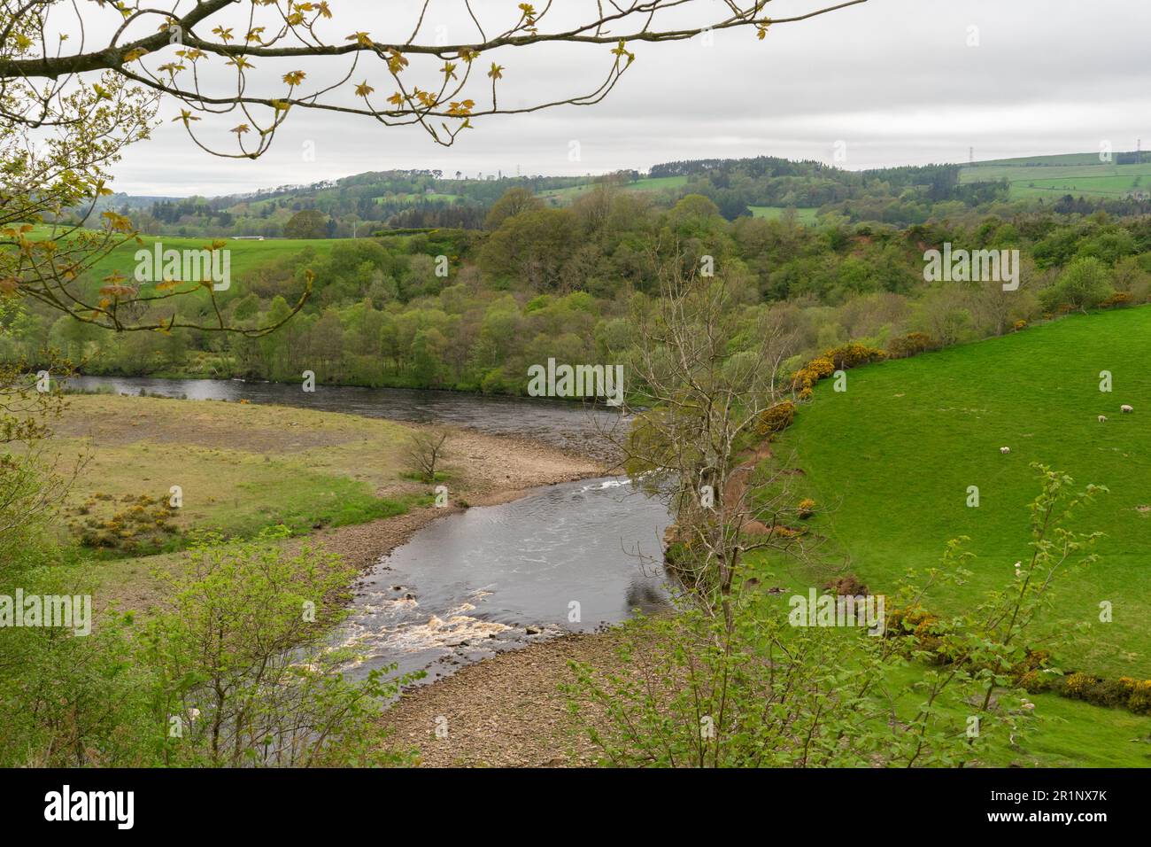 The River South Tyne near Haltwhistle in Northumberland Stock Photo - Alamy
