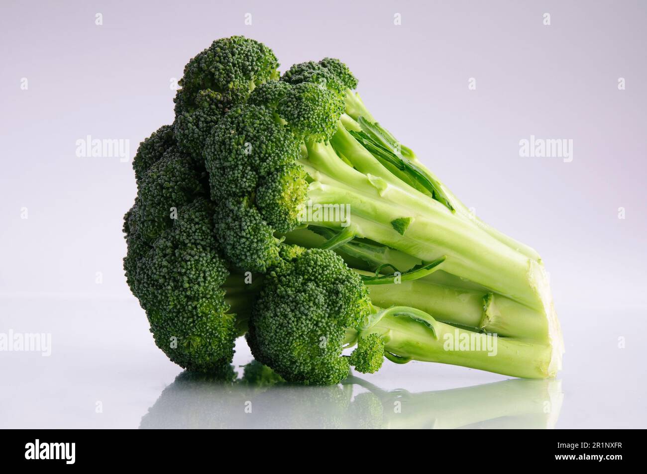 A single head of broccoli isolated on a white background Stock Photo ...