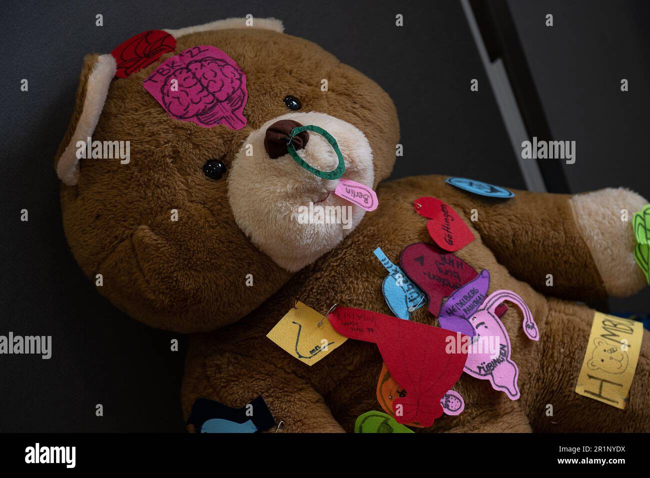 Kodak teddy bear deals