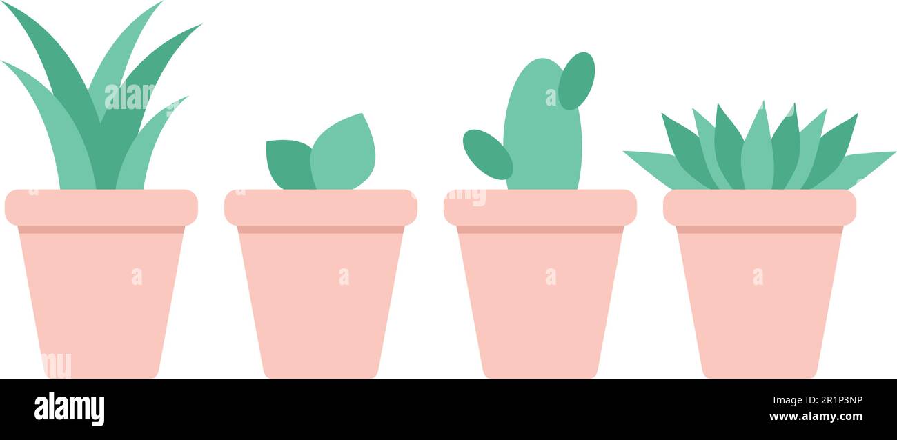 Various house plants in the pots. Green house flowers isolated on white background. Vector illustration in flat style Stock Vector