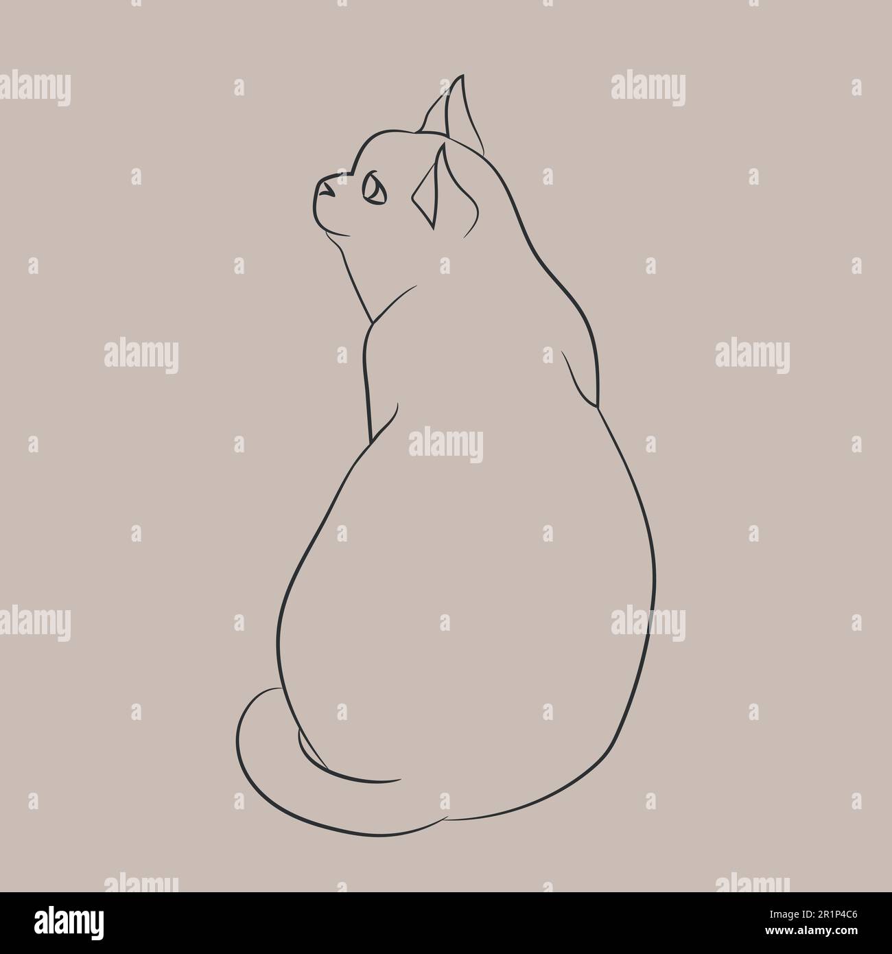 Hand drawn sitting cat contour on gray background. Cat posing simple sketch. Vector art. Stock Vector