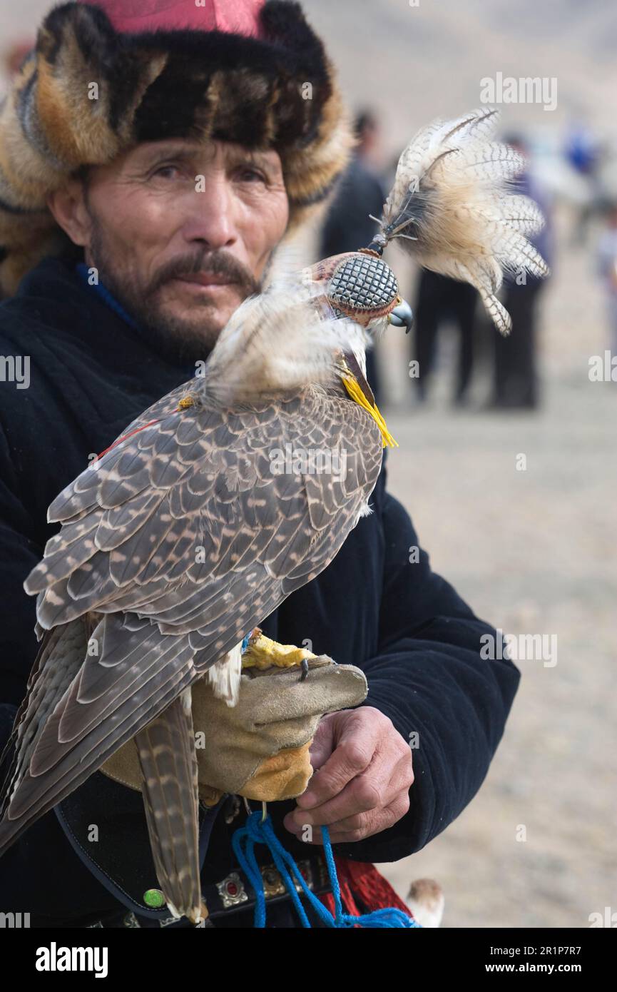 Saker falcon, saker falcons (Falco cherrug), Saker, Saker falcon, falcon, falcons, birds of prey, animals, birds, Kazakh hunter with hooded Saker Stock Photo