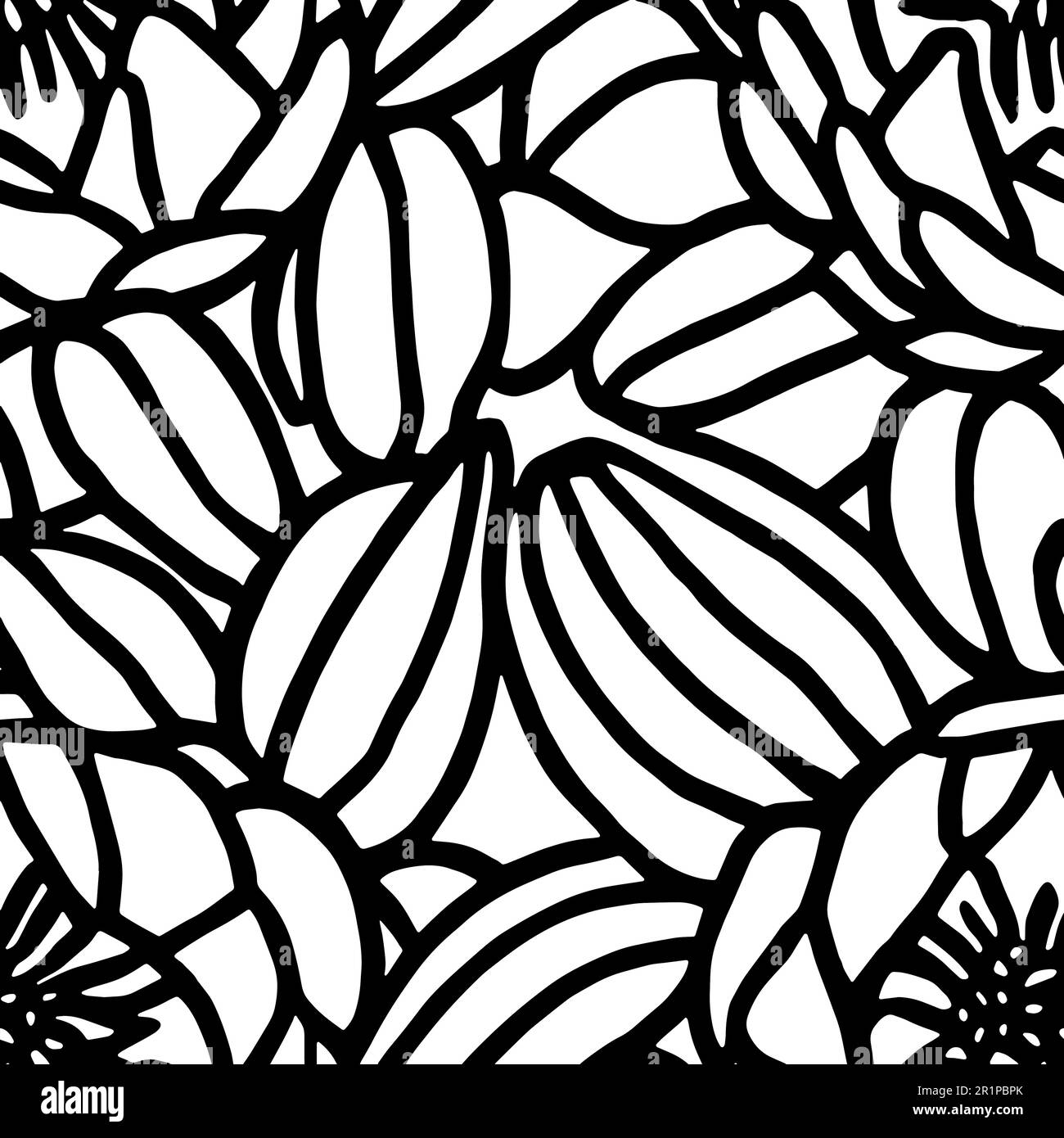 Vector Flowers, Black and White Floral Seamless Pattern Stock Vector ...