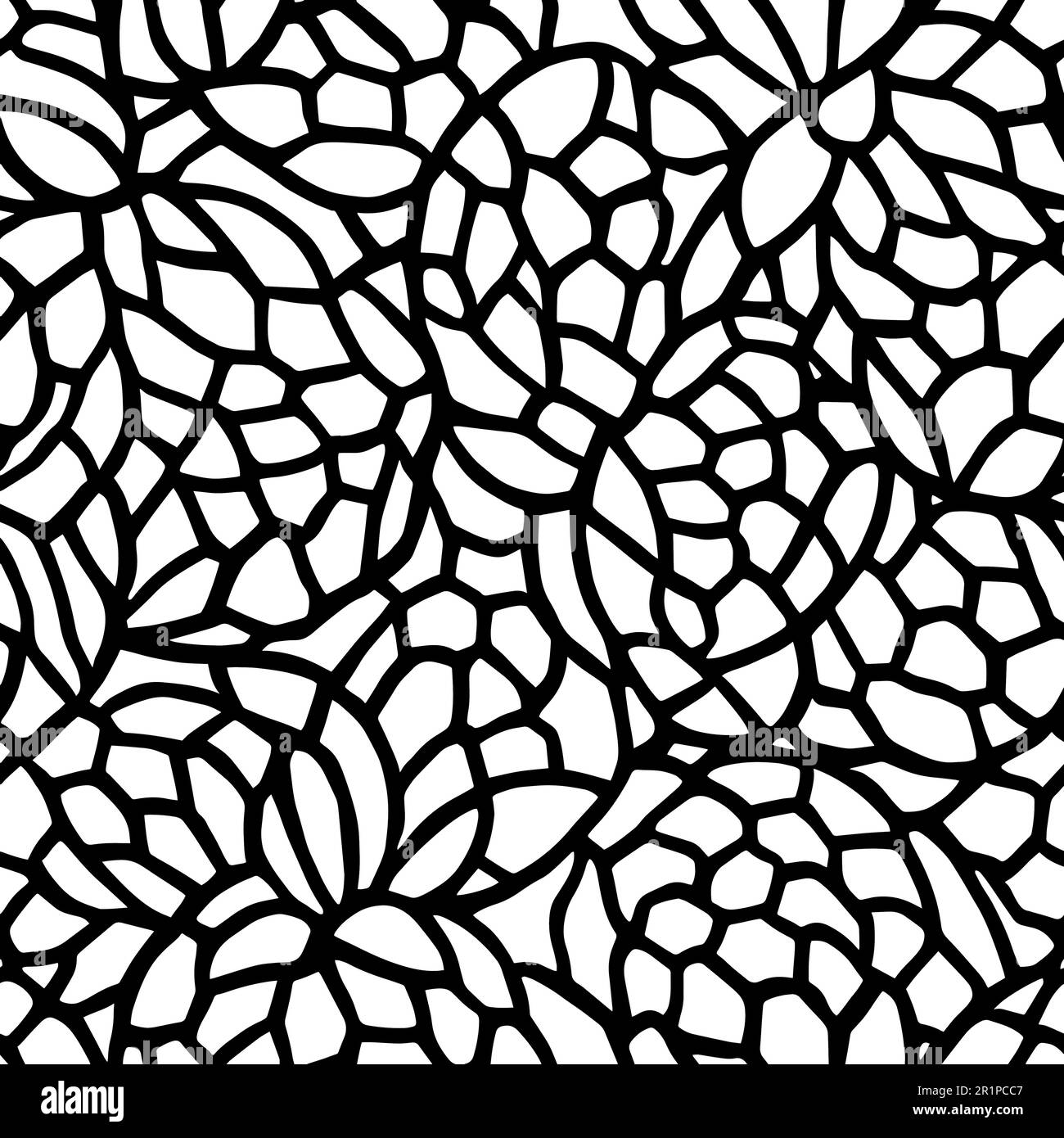 Vector Flowers, Black and White Floral Seamless Pattern Stock Vector ...
