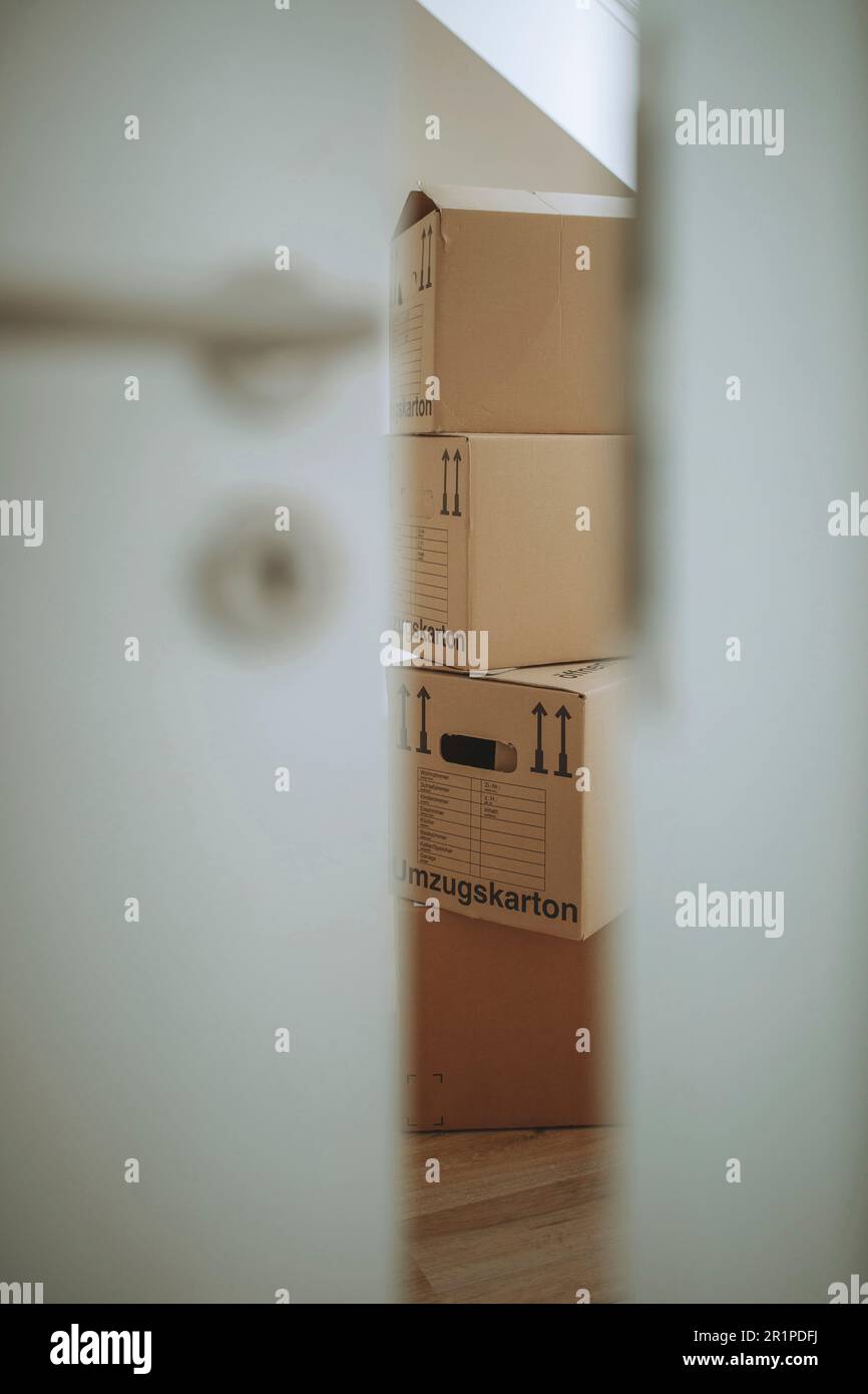 Moving boxes in the new apartment Stock Photo Alamy