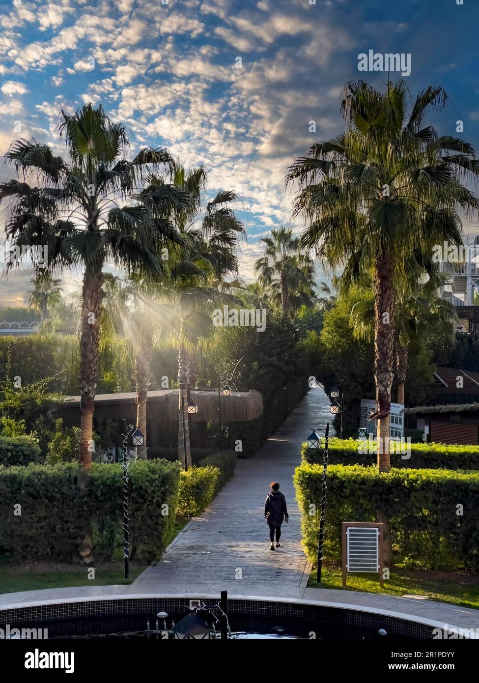 Palm trees, garden, hotel complex at Lara Beach, Lara, Antalya, Turkey Stock Photo