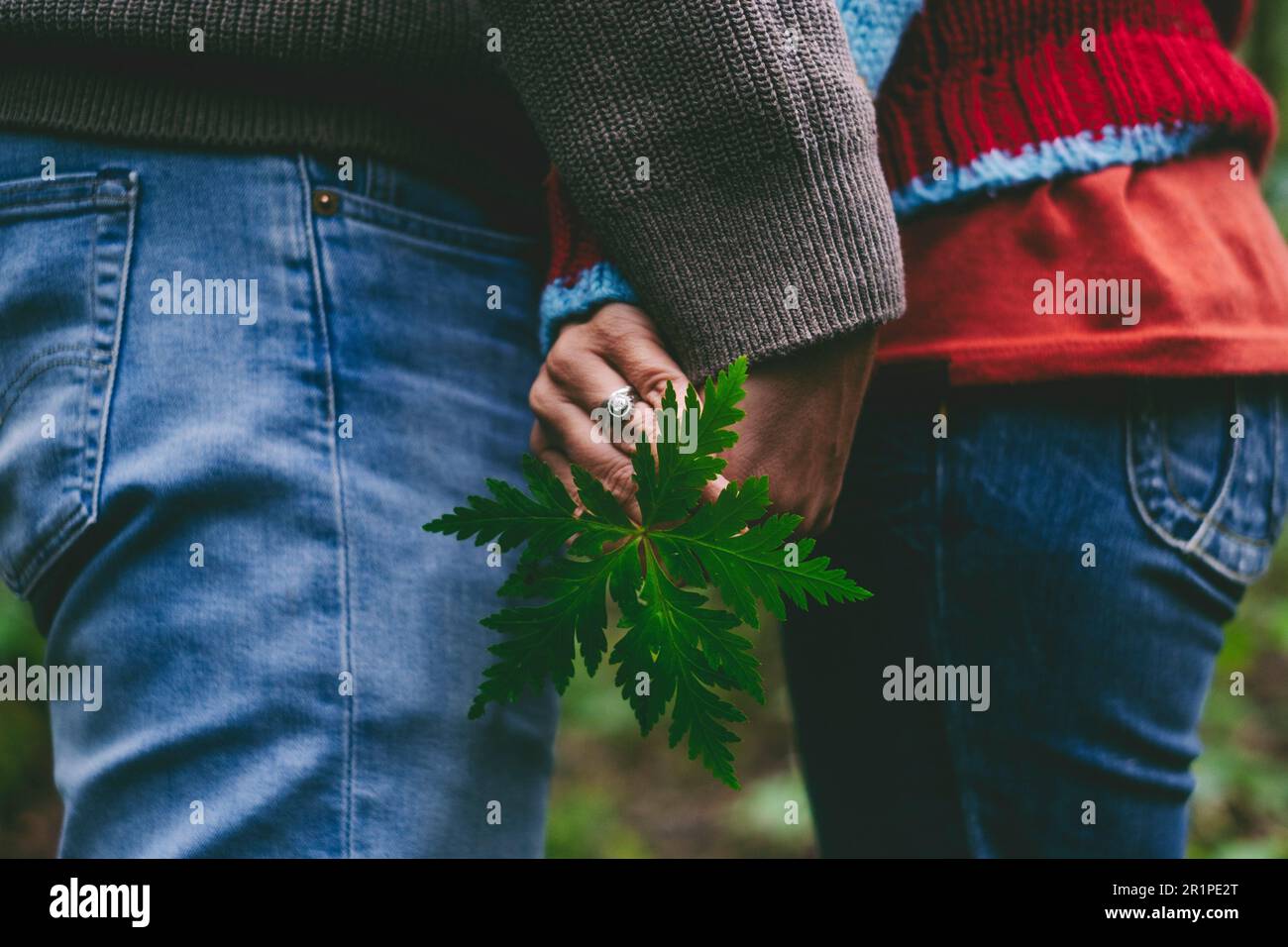 Couple, detail, hands holding, leaf, forest, outside, togetherness Stock Photo