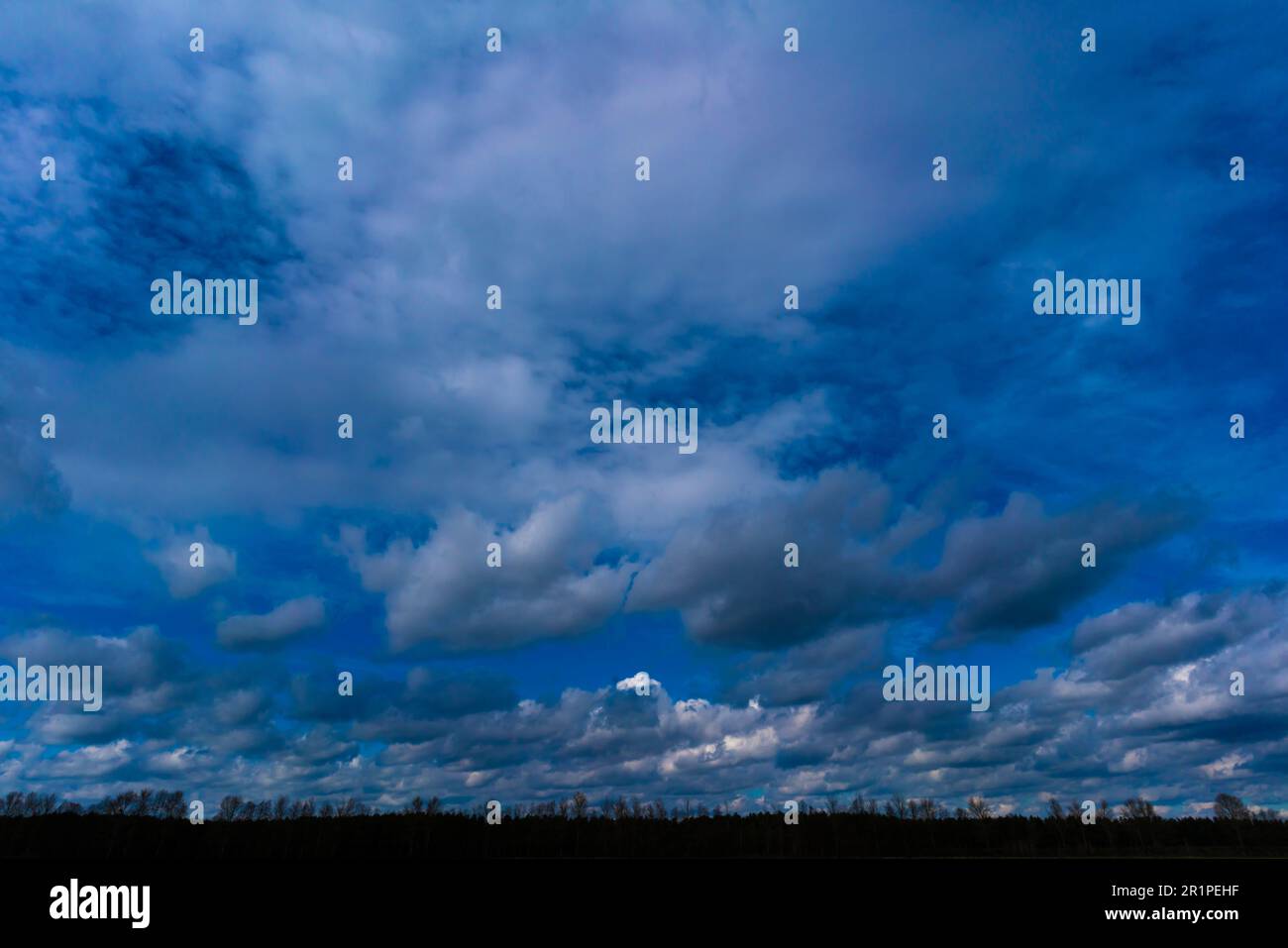 Beautiful rain clouds in spring over tree silhouettes Stock Photo - Alamy