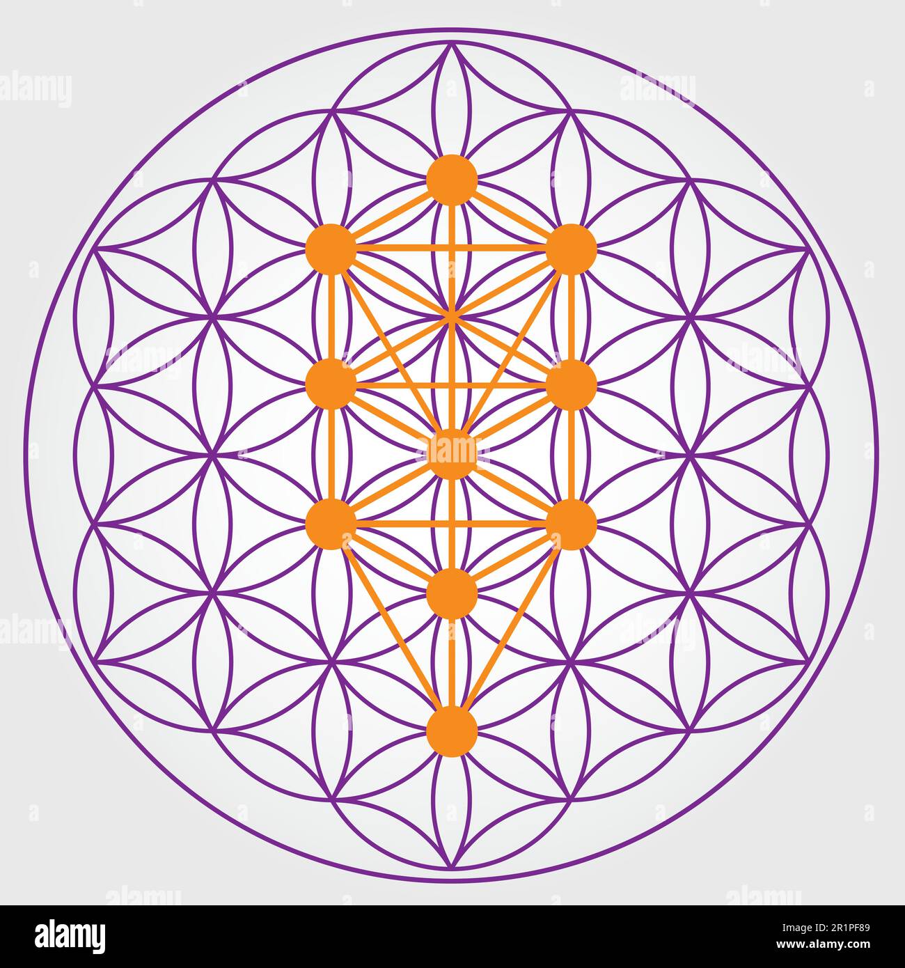 Flower of Life Symbol in Violet and Orange Colors, Cosmic Universe