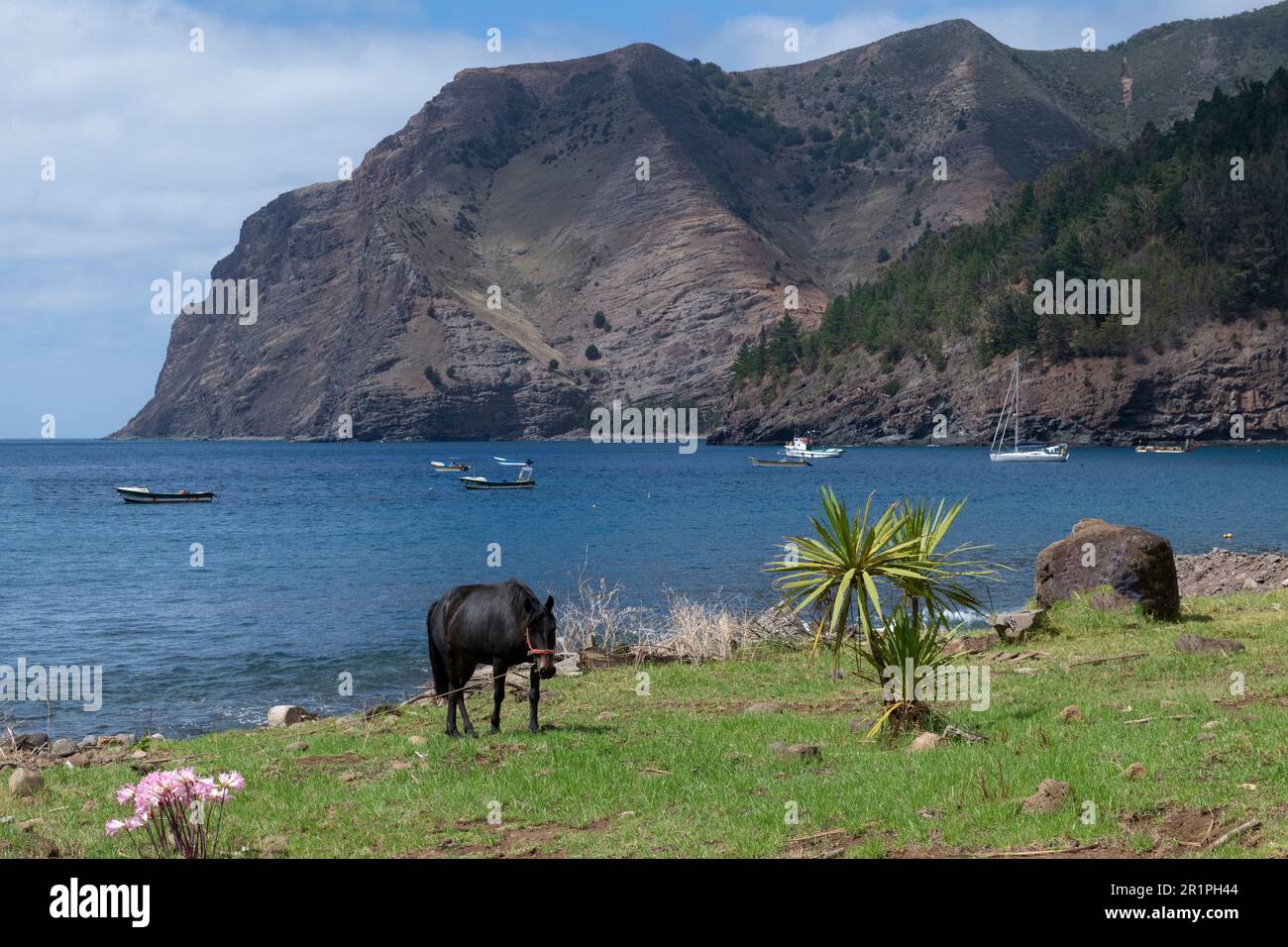 Chile, Juan Fernandez Archipelago, Robinson Crusoe Island, Cumberland Bay, village of San Juan Bautista. Stock Photo