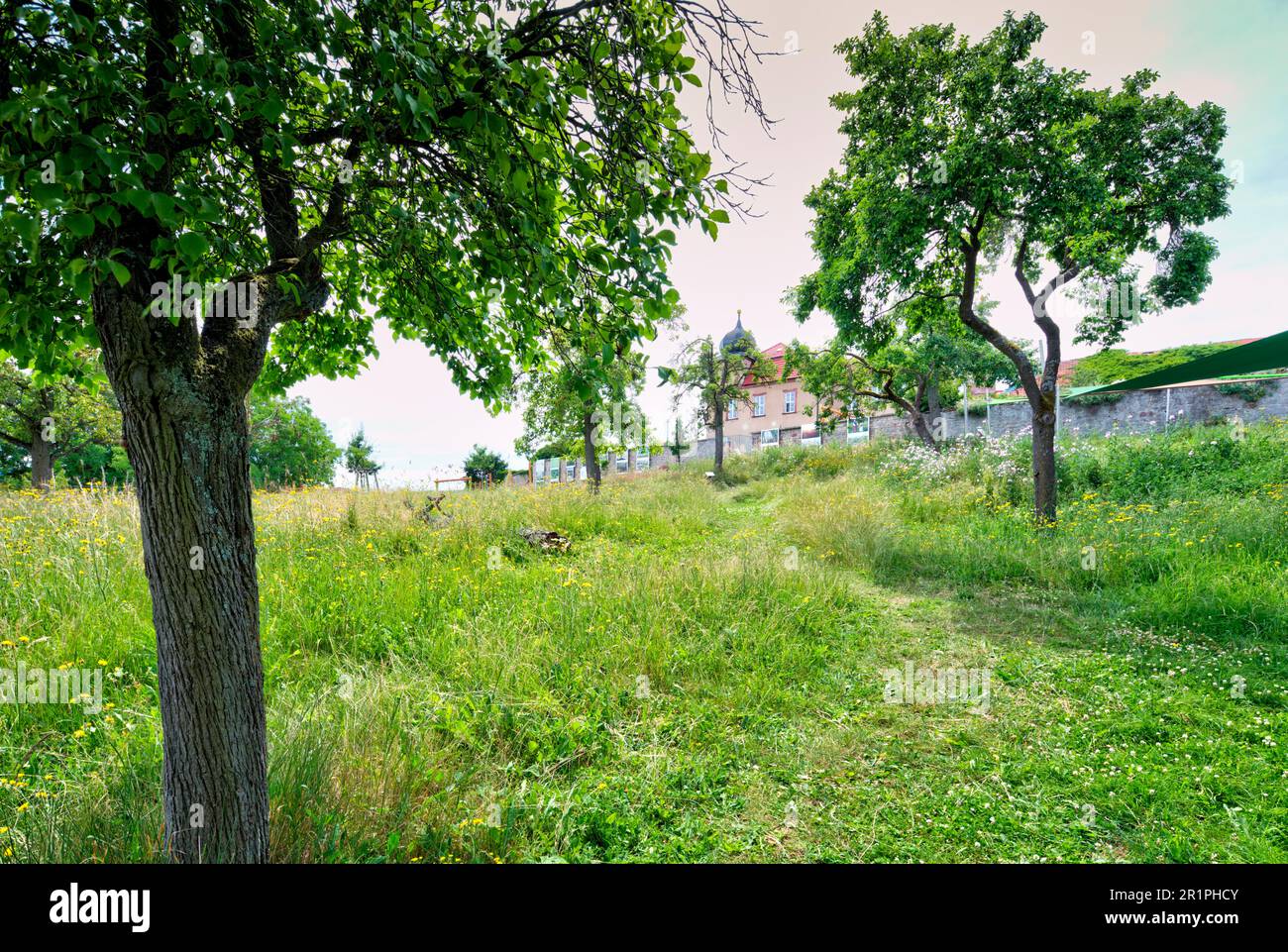 Orchard meadow, Propstei Zella, architecture, house facade, village view, summer, Zella, Rhön, Wartburgkreis, Thuringia, Germany, Europe, Stock Photo
