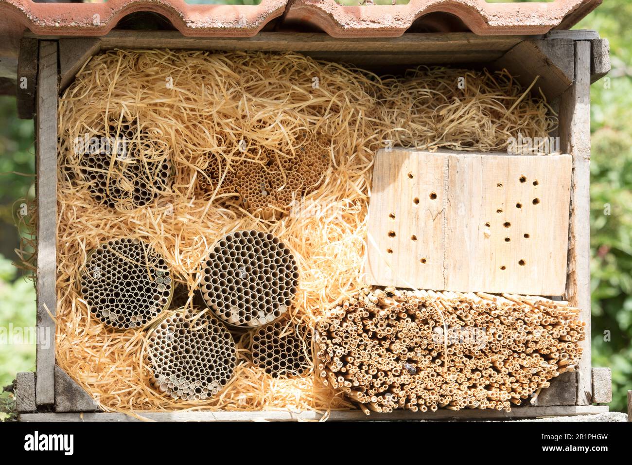 Insect hotel, wood, garden, summer, nature, still life, Zella, Thuringia, Germany, Stock Photo