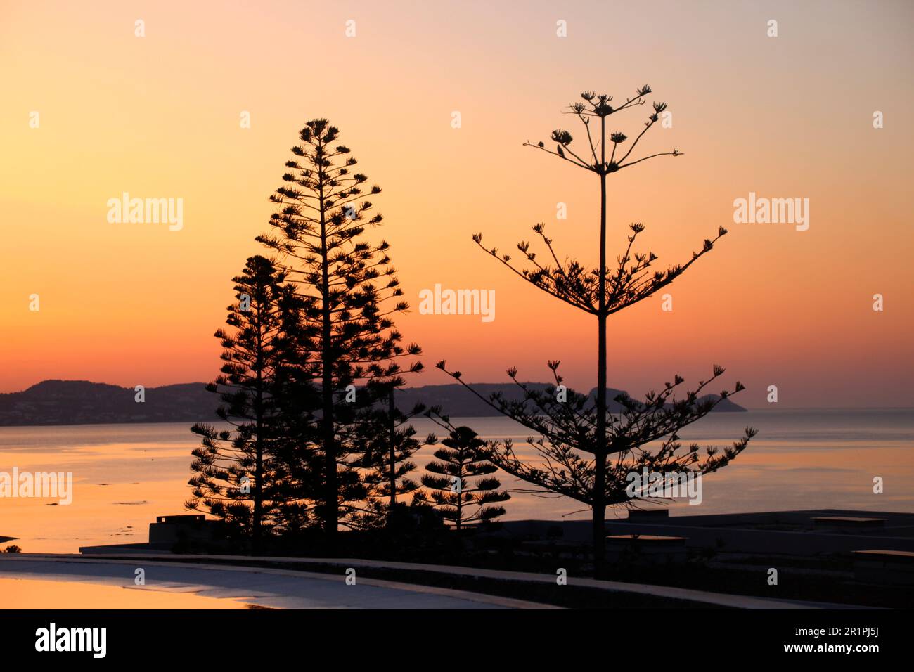 Sunrise on the beach near Kiotari, plants, trees in the foreground, Rhodes, Greece Stock Photo