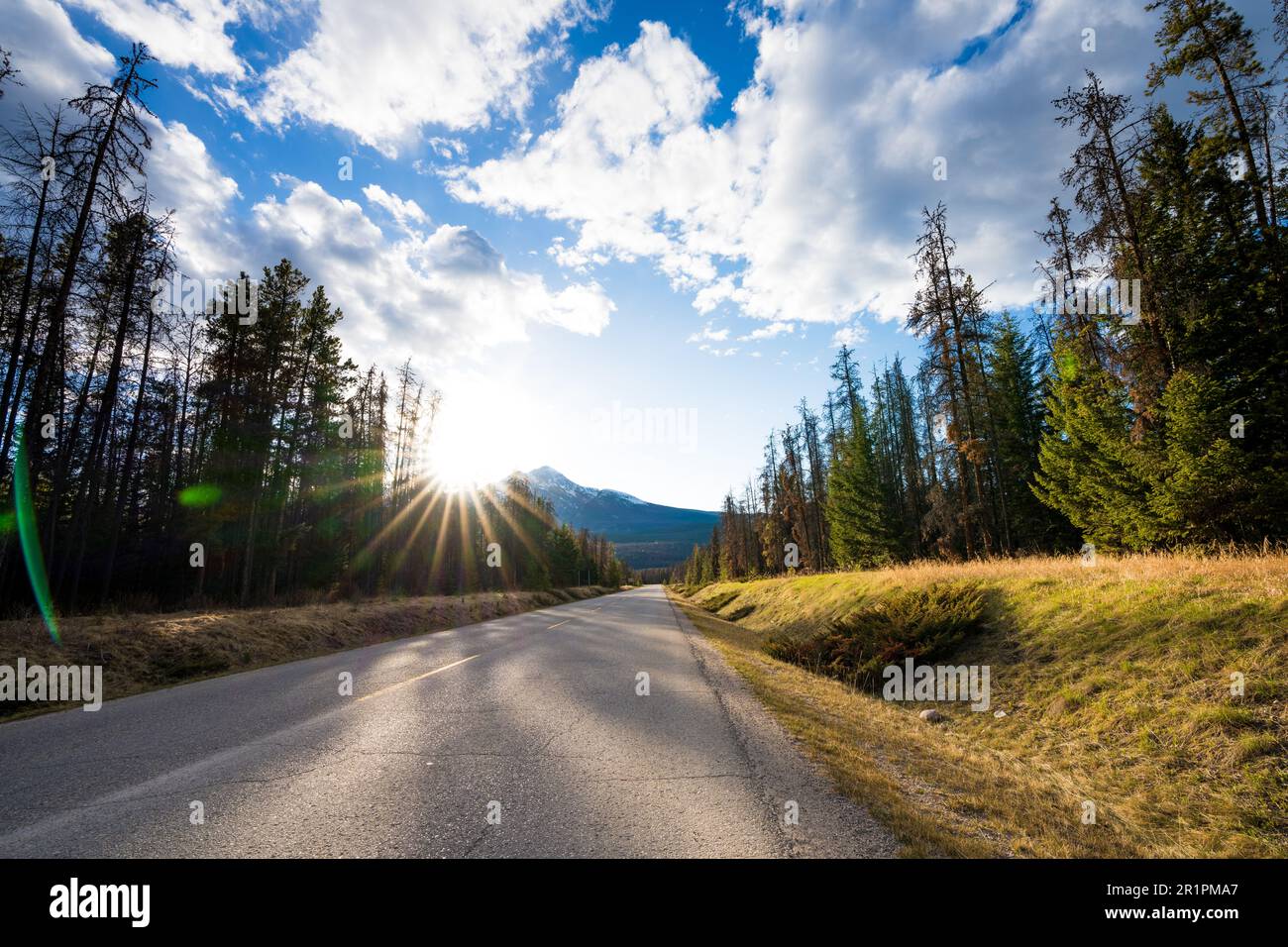 Mountain road in the forest in summer time. Maligne Lake Road. Jasper National Park, Canadian Rockies, Alberta, Canada. Stock Photo