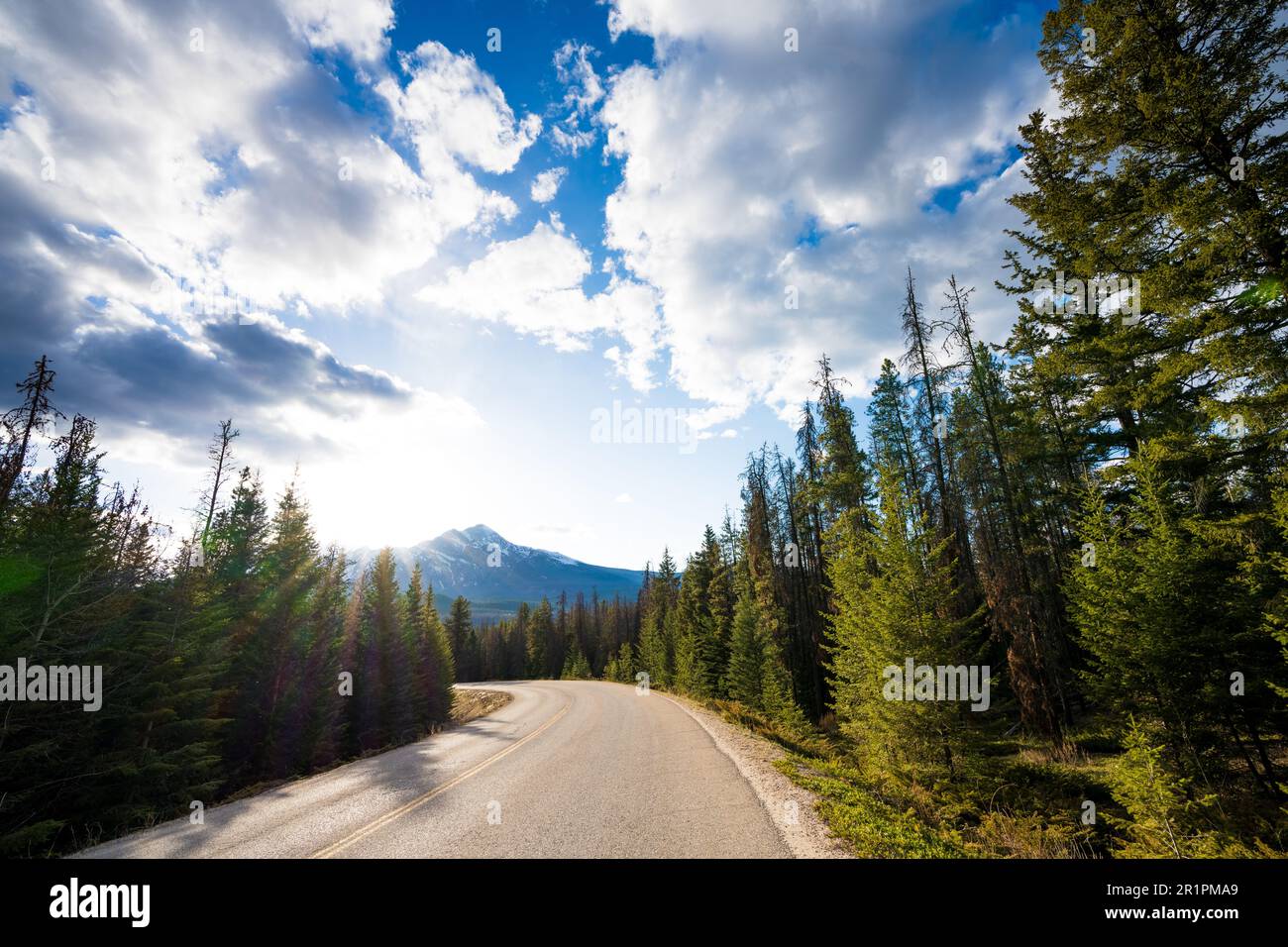 Mountain road in the forest in summer time. Maligne Lake Road. Jasper National Park, Canadian Rockies, Alberta, Canada. Stock Photo