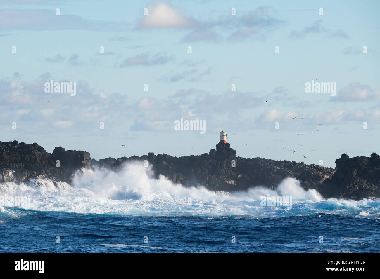 Chile, Pacific Islands, Islas Salas Y Gomez aka Salas and Gomez Island