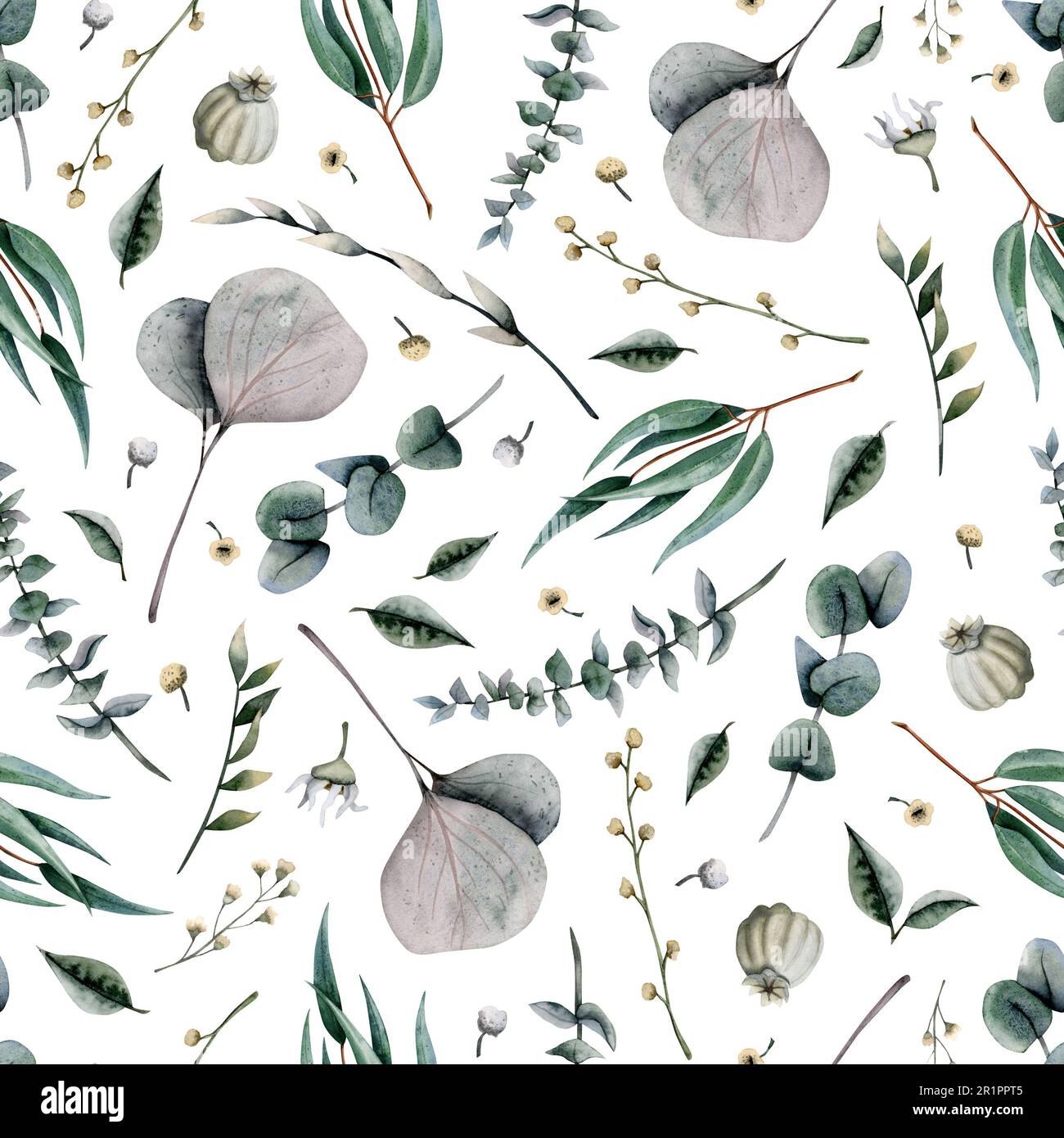 Eucalyptus different tyoes of branches watercolor seamless pattern with leaves, grass, tiny field flowers on white Stock Photo