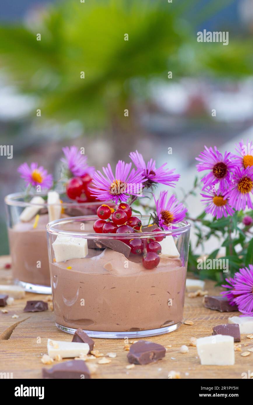 Italy, Trentino Alto Adige, Alto Adige - South Tyrol, Schenna, vegan cuisine with animal product-free ingredients, pastry chef Julia Rauch, easy chocolate mousse Stock Photo