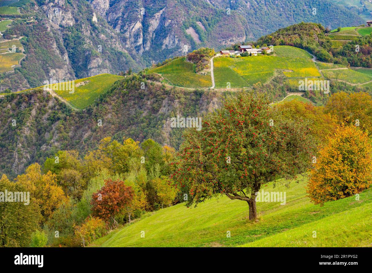Italy, Trentino-Alto Adige, Alto Adige - South Tyrol, Steinegg, Biohotel and Bikehotel Steineggerhof, view of the Eisack Valley and Voels Stock Photo