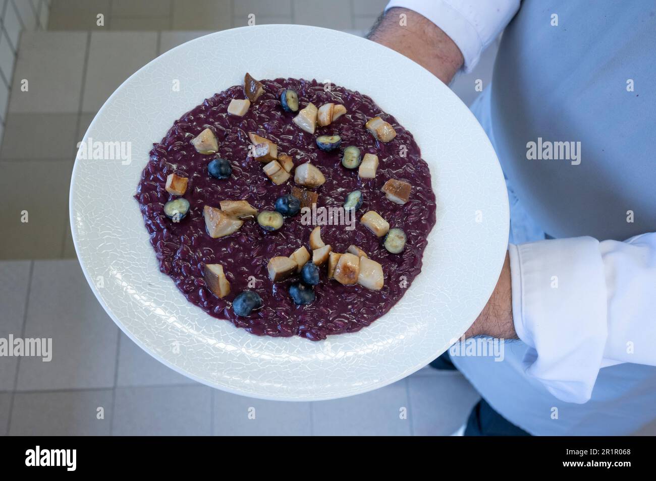 Italy, Trentino Alto Adige, Alto Adige - South Tyrol, Valle Isarco, Bressanone, vegan cuisine with animal product-free ingredients, Provincial Vocational School for the Hospitality and Food Industry, Emma Hellenstainer, Armin Mairhofer, carnaroli rice, blueberries, oak moss Stock Photo