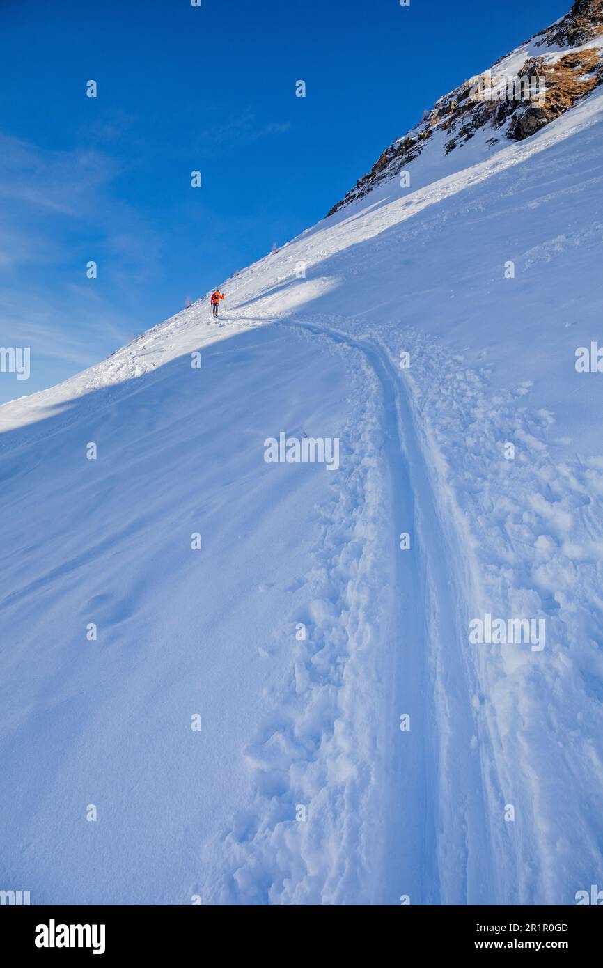 Austria, East Tyrol, Villgraten valley, ski mountaineer on the way to Marchkinkele (Cornetto di Confine) summit, Villgraten Mountains, Western Tauern Alps Stock Photo