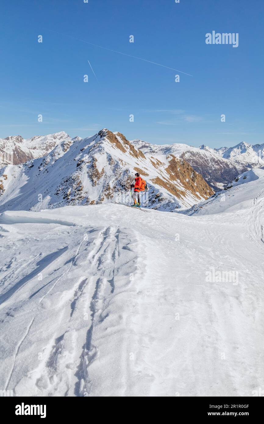 Austria, East Tyrol, Villgraten valley, ski mountaineer on the ridge towards the Marchkinkele (Cornetto di Confine) summit, Villgraten Mountains, Western Tauern Alps Stock Photo