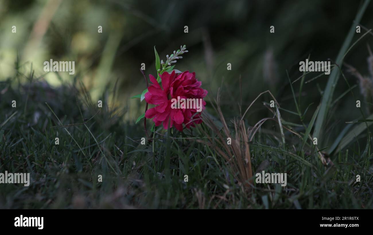 artificial flowers on a grass Stock Photo