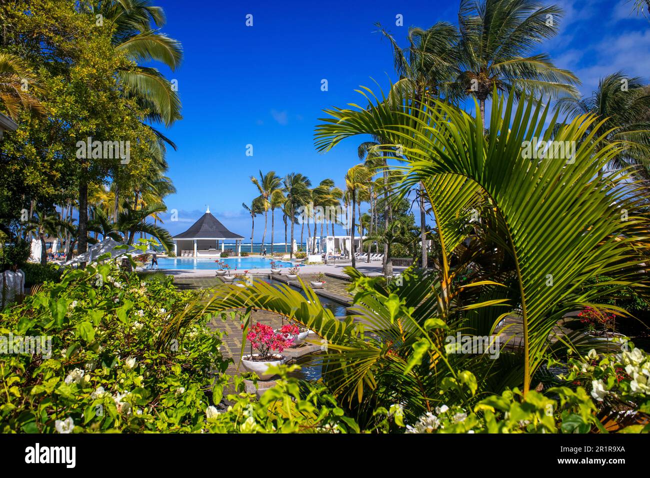 Wedding Packages, image size:1300x956