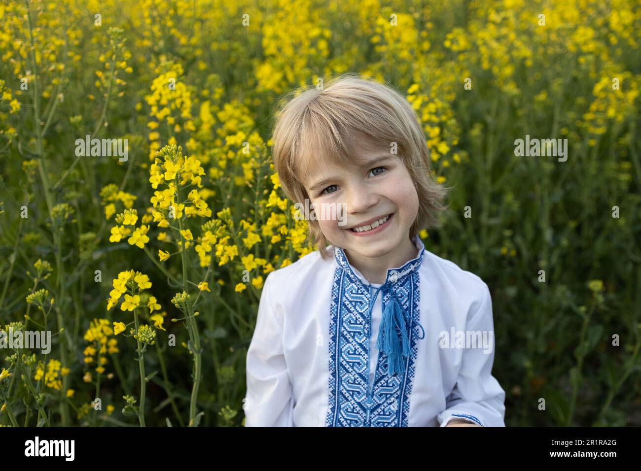 portrait of a cute joyful Ukrainian boy 6 years old in a traditional blue vyshyvanka stands among a yellow flowering rapeseed field. Children for Peac Stock Photo