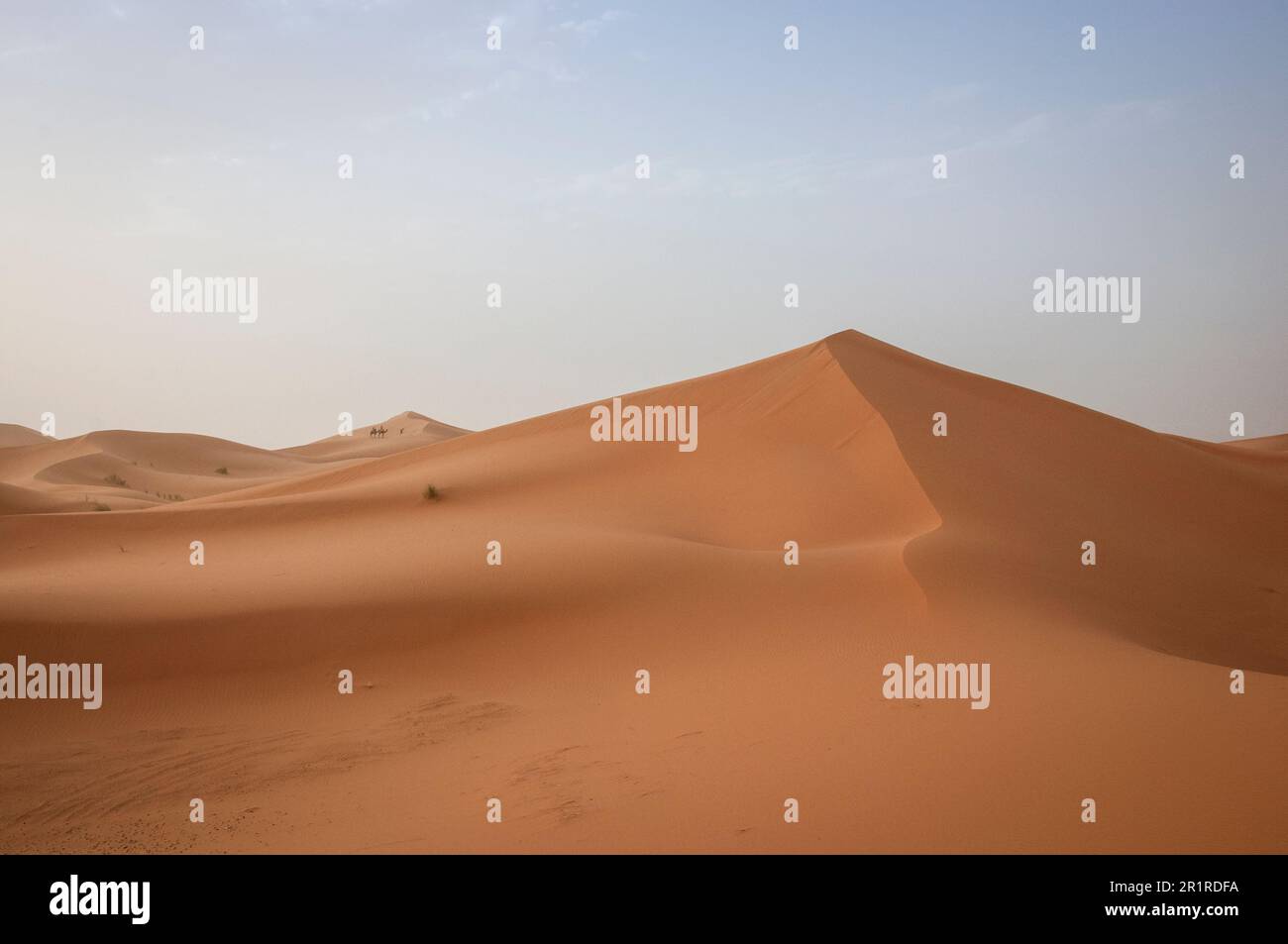 Sand dune in a desert landscape, Sahara Desert, Morocco Stock Photo - Alamy