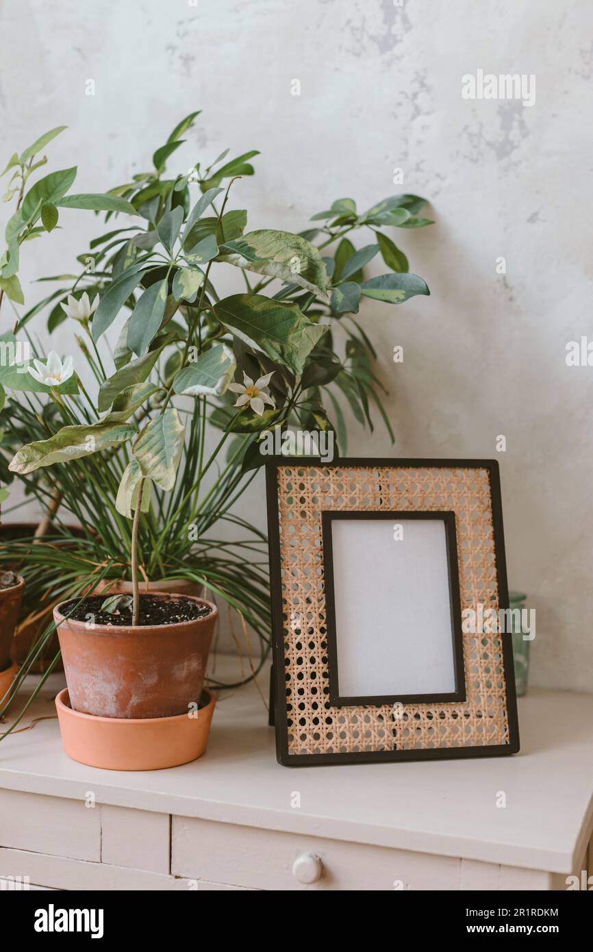 Empty picture frame on a sideboard next to houseplants Stock Photo