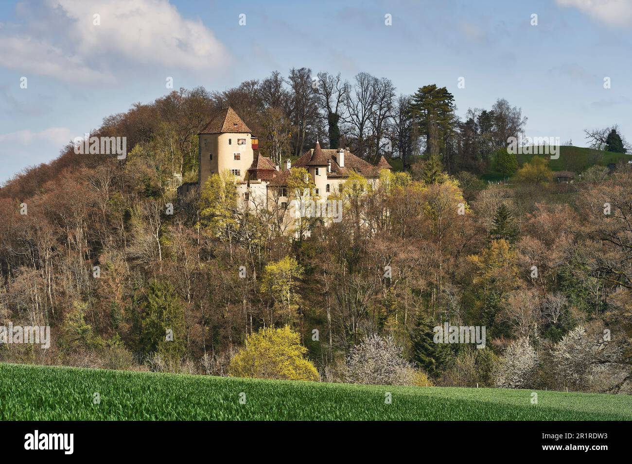 The historic Wildenstein Castle near Bubendorf BL in Switzerland Stock Photo
