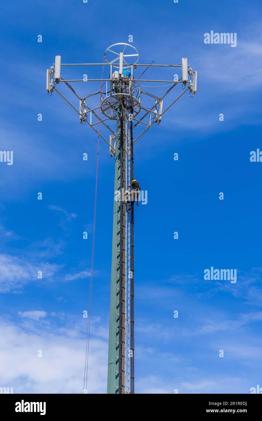 Maintaining the telephone network hi-res stock photography and images ...