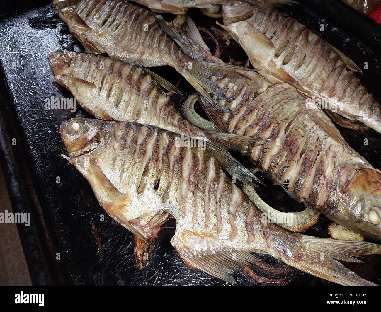 Baked fish in a the oven. Stock Photo