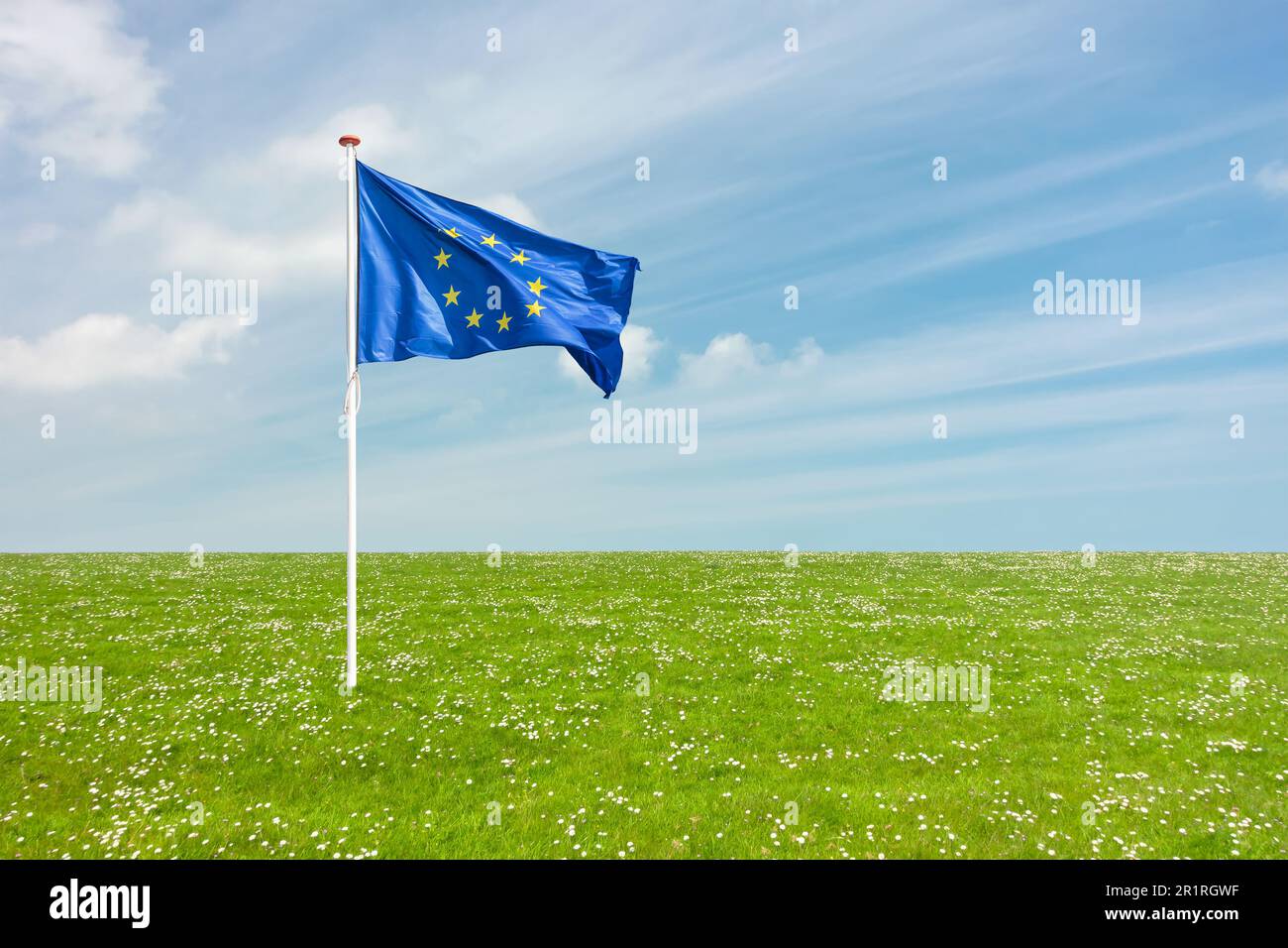 Waving flag of the European Union on a grass meadow with blooming flowers Stock Photo