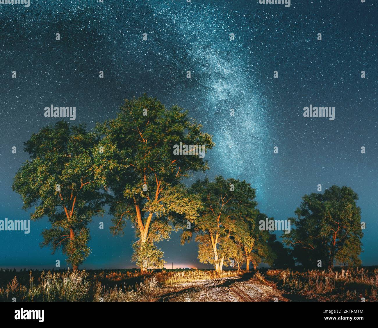 Panorama Milky Way Galaxy In Night Starry Sky Above Trees In Summer Forest. Glowing Stars Above Landscape. View From Europe. Stock Photo